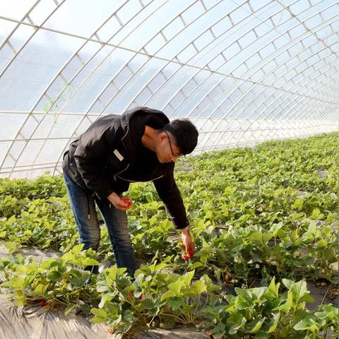 城里人做什么东西赚钱 城里人做什么东西赚钱快