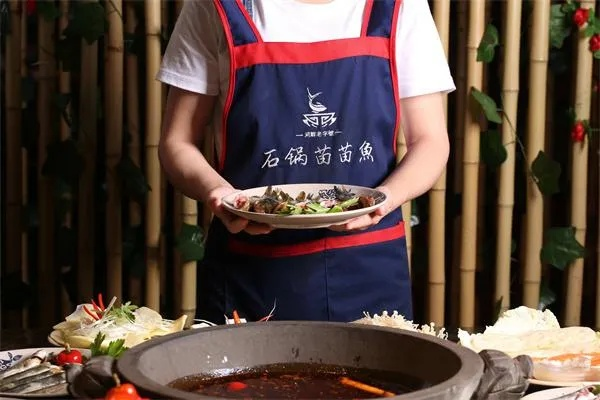 新都石锅鱼加盟品牌深度解析