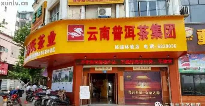 云浮茶叶店加盟品牌深度解析