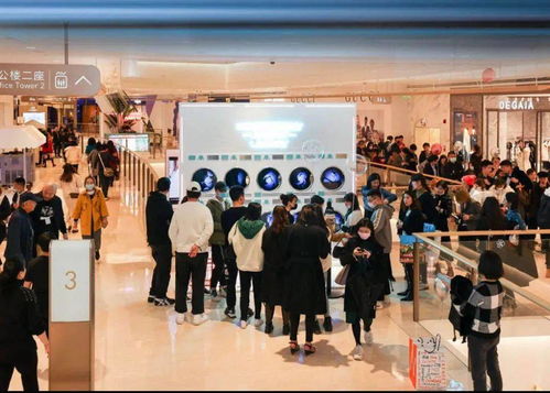 上海击剑加盟店品牌探秘，热门品牌一览