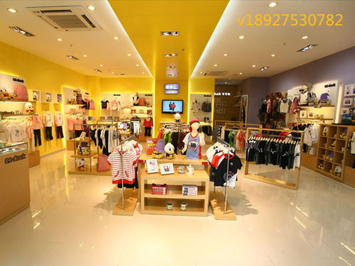 童装加盟店品牌概览，探寻热门童装品牌加盟之路