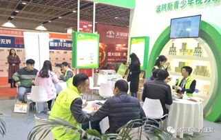 滋补品加盟品牌大盘点，探寻市场热门品牌与未来发展潜力