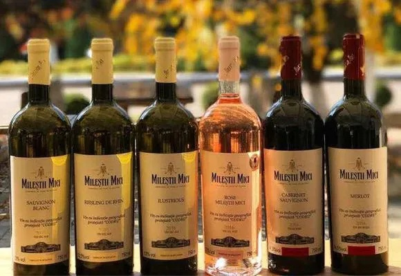大连进口酒加盟品牌深度解析