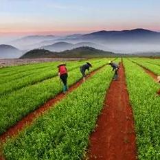 回家做什么生意比较好赚钱 回家可以做什么赚点钱