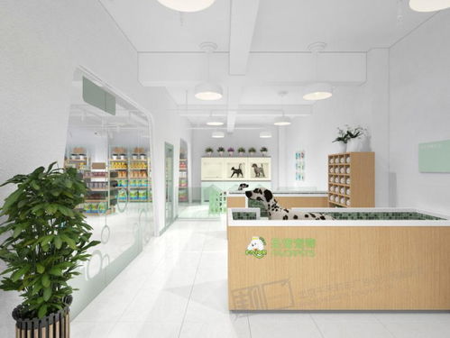 小型门诊加盟店品牌概览