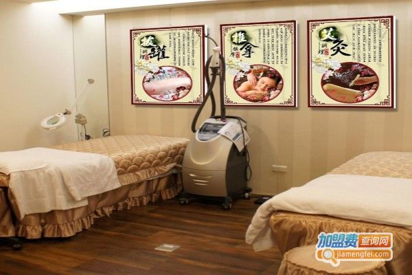 中医美容加盟店品牌推荐与分析 中医美容加盟店品牌推荐与分析