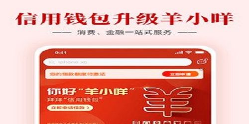 羊小咩额度套现秒到,羊小咩额度套现秒到，解决资金周转难题的新选择