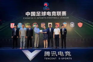 掘金品牌加盟，探索市场机遇与挑战