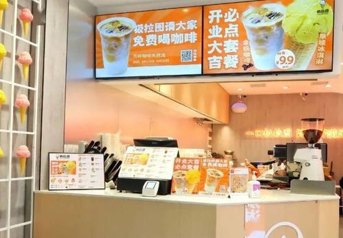 上海团购雪糕加盟品牌大揭秘