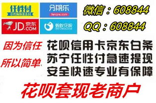 羊小咩套现提现取现,羊小咩套现提现取现，全面解析与实用指南