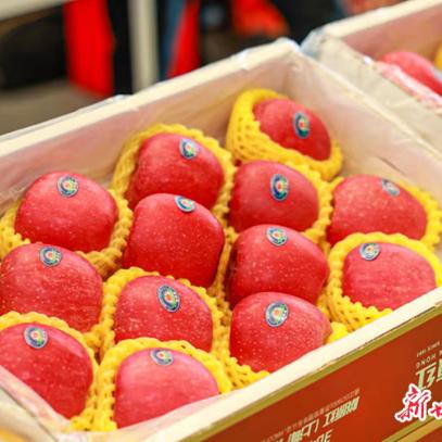 上海水果连锁加盟品牌大揭秘 上海水果连锁加盟品牌大揭秘