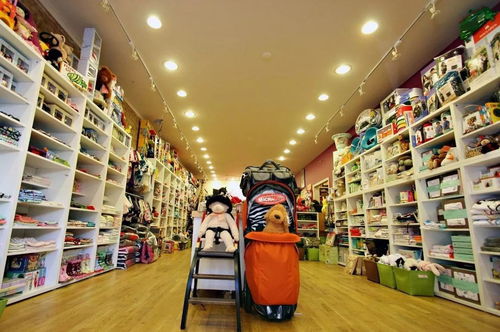 韶关内衣加盟品牌店的选择与推荐 韶关内衣加盟品牌店的选择与推荐