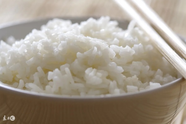 大米饭加盟品牌的选择与比较
