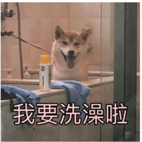 探索国际儿童家居服品牌