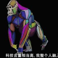 探秘中国户外品牌的崛起之路