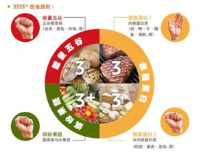 健康减脂，美味不停歇，探索减脂餐店加盟品牌
