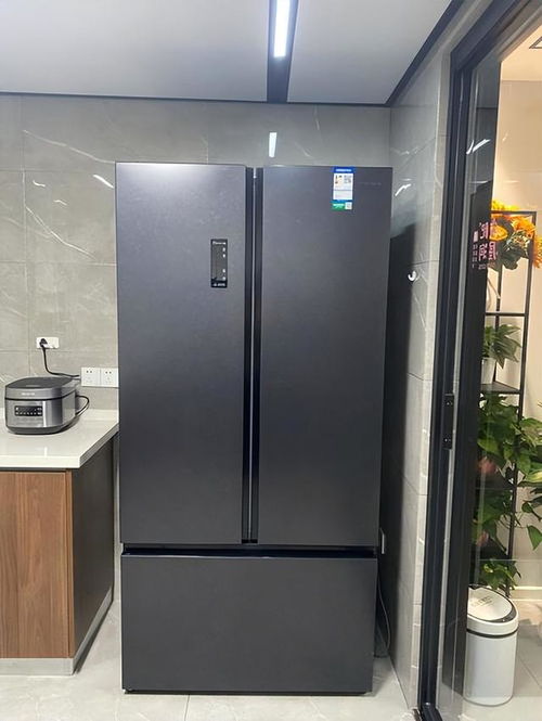 商用定制冰箱品牌大盘点，谁才是行业佼佼者？