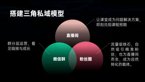 如何打造成功的卖花直播间，实操指南与案例分析