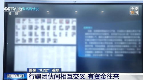 如何打造成功的卖花直播间，实操指南与案例分析