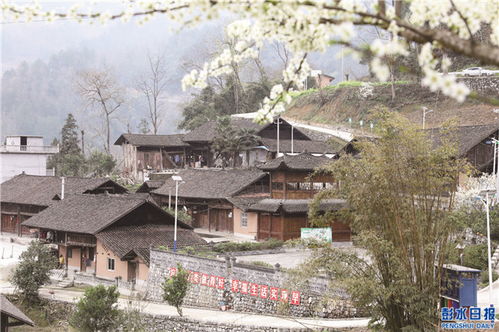 乡村的美丽画卷—走进我国乡村的别样风情