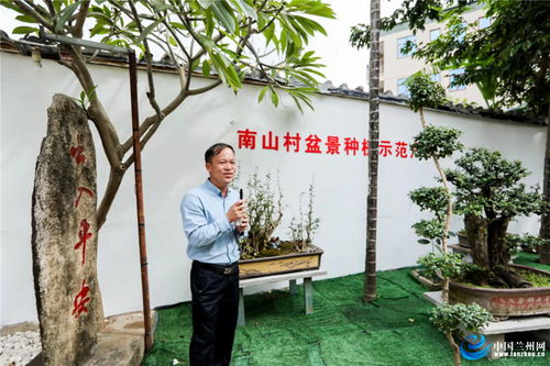 乡村的美丽画卷—走进我国乡村的别样风情