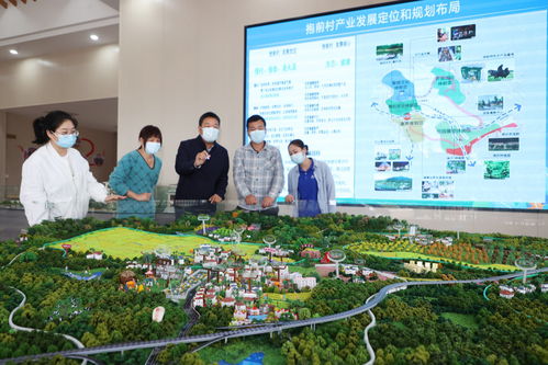让乡村拥抱互联网，开启乡村振兴新篇章