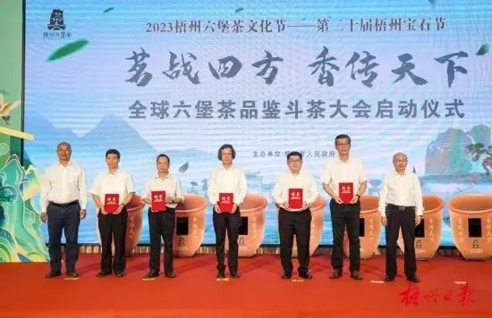 梧州市六堡茶，一杯香茗助力乡村振兴的生动实践