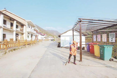 中学生如何为乡村振兴添砖加瓦—我们的行动指南