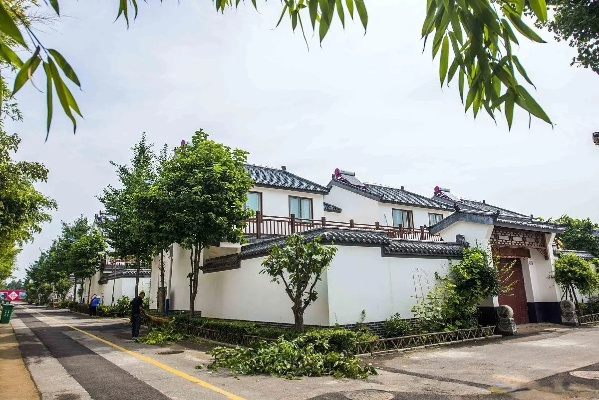 如何让乡村治理更上一层楼—双方合力打造美丽乡村