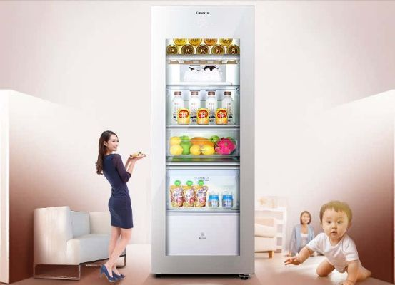 商用存奶专用冰箱品牌盘点，守护食品安全，保障母婴健康
