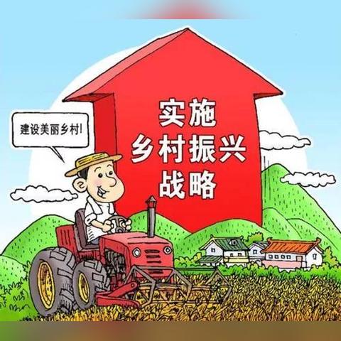 街道如何做好乡村振兴工作，策略与实践分享