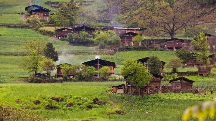轻松打造乡村风景图片大全，记录美好乡村时光