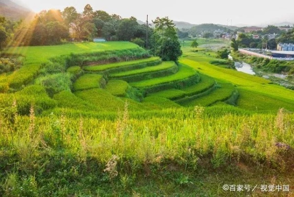 轻松打造乡村风景图片大全，记录美好乡村时光