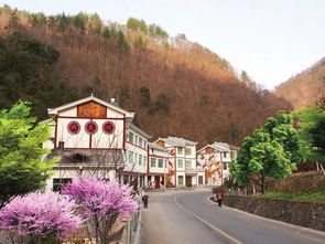 英山县美丽乡村规划攻略，打造宜居宜业的生态家园
