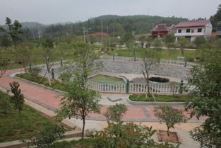 整治乡村不良风气，共建和谐美丽乡村