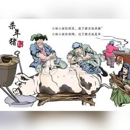 宜昌乡村兽医的工资待遇揭秘，收入水平与工作现状分析