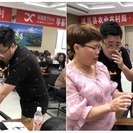 乡村振兴，政府如何精准发力—实操指南与案例分析