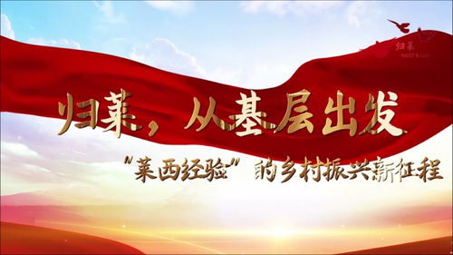 青年在乡村振兴中的创新之路—探索与实践