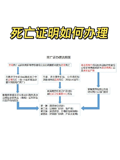 乡村公民死亡管理，流程、注意事项与案例分析