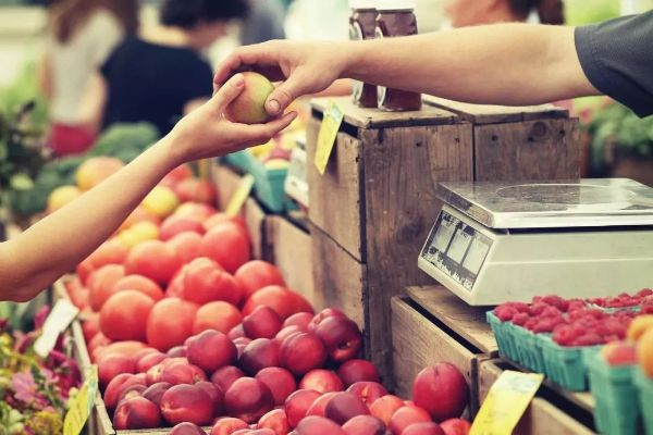 如何开启你的乡村食品经销之路—实操指南
