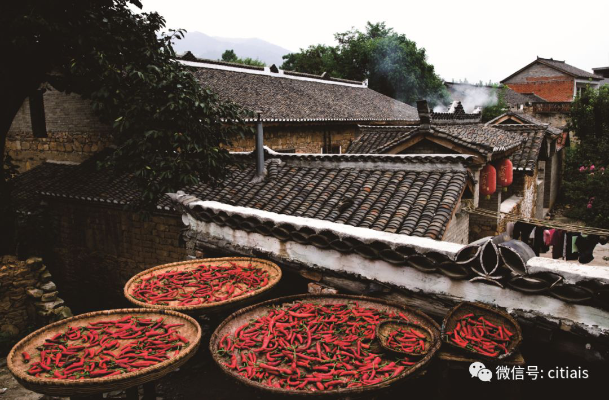 乡村旅游如何留住乡土味—打造特色，留住乡愁