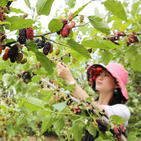 乡村加油站如何轻松申请油卡，加油更便捷！
