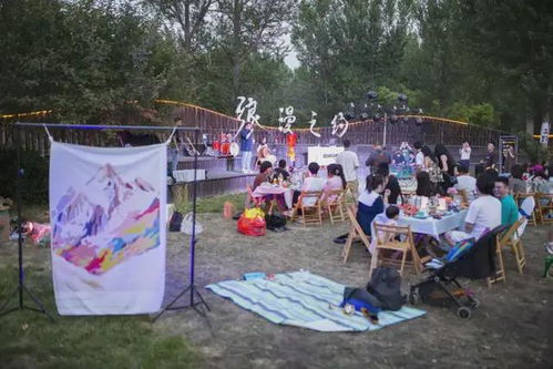 乡村旅游中的文旅融合之道，打造特色体验，共绘乡村振兴新画卷