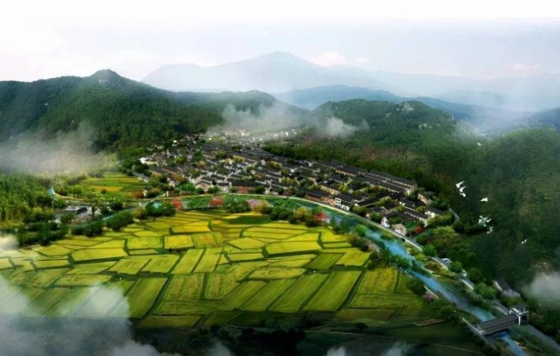宁波乡村旅游市场，蓬勃发展，潜力无限
