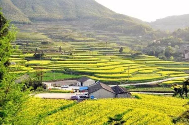 宁波乡村旅游市场，蓬勃发展，潜力无限