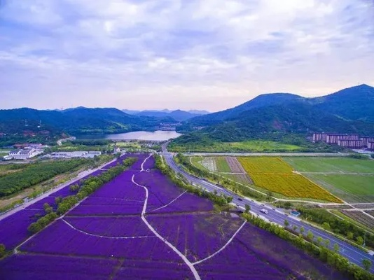宁波乡村旅游市场，蓬勃发展，潜力无限