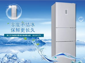 中型二手冰箱选购指南，品牌推荐与案例分享