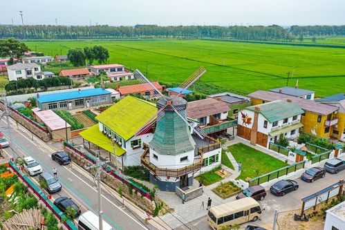大学生在乡村振兴中的活力与作用—助力乡村发展的新引擎