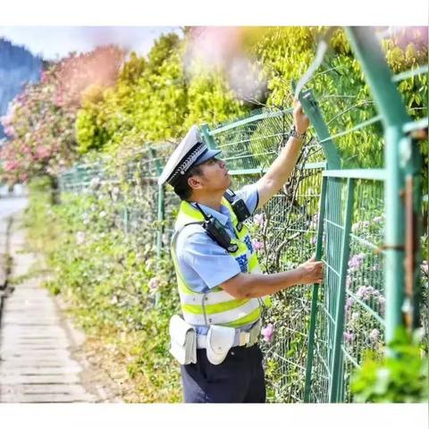 乡村路如何区分主路和附路—实用指南与案例分析