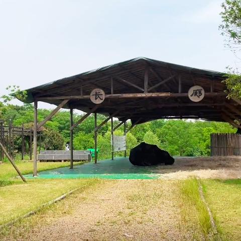 乡村路如何区分主路和附路—实用指南与案例分析